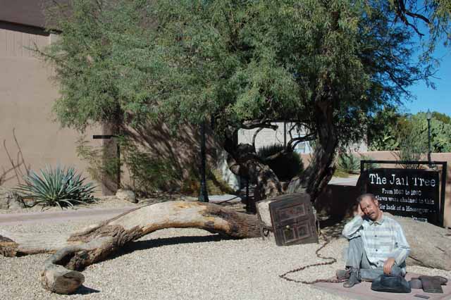 The Jail Tree